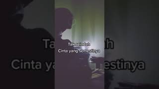 STORY MUSIK WA GALAU #coversong #viral #trending #naff #takseindahcintayangsemestinya