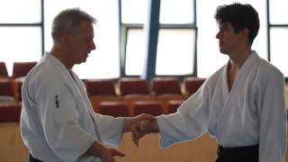 Glimpses from the Plzen 2015 aikido seminar with Stefan Stenudd