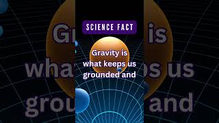 Gravity's Influence