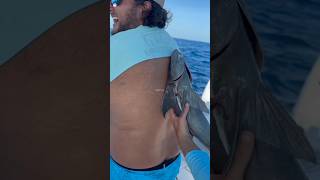 😱 Dangerous remora fish in the world 😱🤔?#facts #shorts #viral