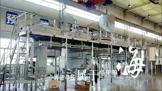 METO 5000L Brewery project brewhouse system