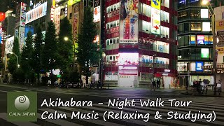 Akihabara Night Walk Tour