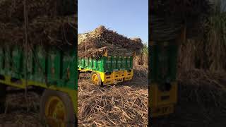 Sugarcane | trowli loaded | Haryana