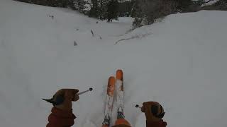 Fun powder run at Snowbird