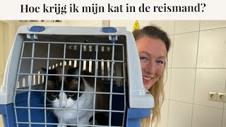 Hoe krijg ik mijn kat in de reismand? | Instructievideo