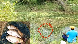 How to Find Rohu Fish 🎣Spot Catching by Single Hook FLOAT FISHING