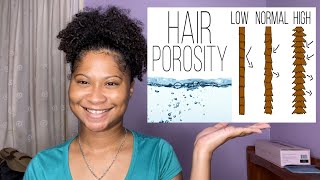 Hair Porosity 101 |Easy Porosity Test!