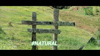 Natural Hastag