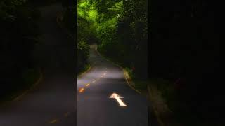 peaceful track #shorts #youtubeshorts #viral #viralvideo