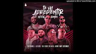 Chris Wandell, J Alvarez, Randy, Rafa Pabön, Alex Rose, Nio Garcia, Casper - Te Vas Arrepentir RMX