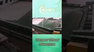 China Good Quality Horizontal Slicer Machine Slicing Fast｜Hummingbird Machinery Manufacturer