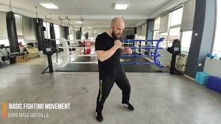 Basic Fighting Movment Krav Maga