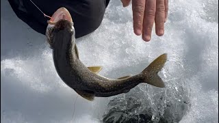 Moosehead Lake end of season ice fishing #icefishing