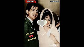 Dilip Kumar with Saira Banu  |  Sweet memories 💖  | #shorts #shortsvideo #viral #bollywood