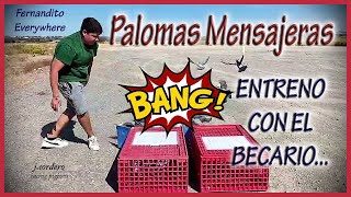 PALOMAS MENSAJERAS (entreno con el becario) 20 km.