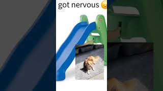 help lex go down the slide