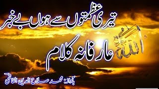 Teri Azmato se hu be khabar ||تیری عظمتوں سے ہوں بے خبر  @salahuddinalfatih786  #newkalam🎧