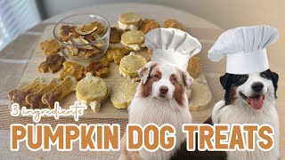 DIY 3 ingredient Pumpkin Dog Treats