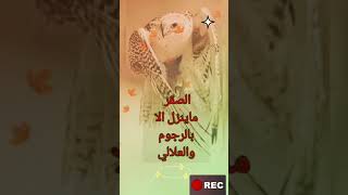 موسى المردود قصة الصقر وخزنه